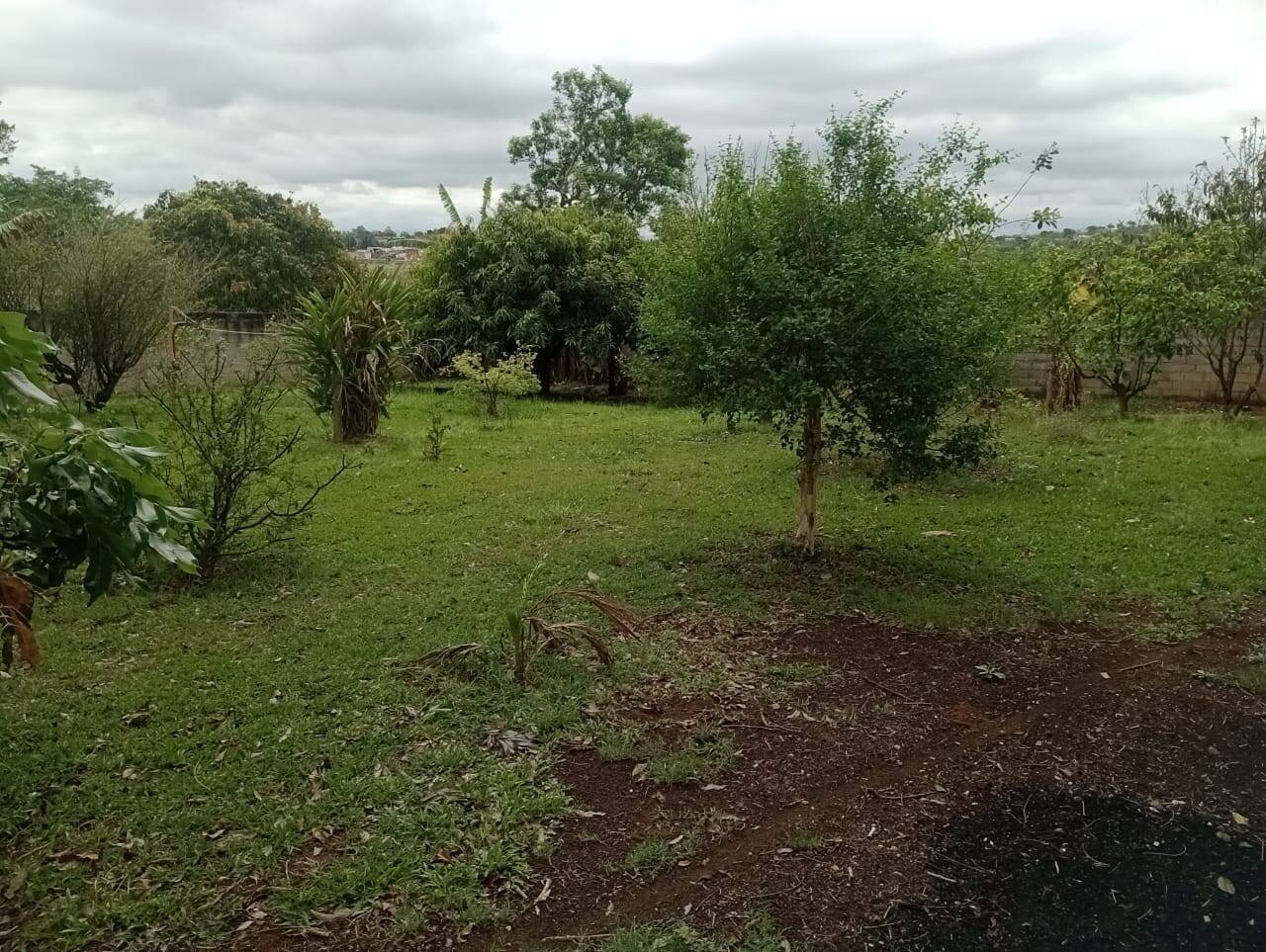 Chácara, 4 quartos, 2300 m² - Foto 3