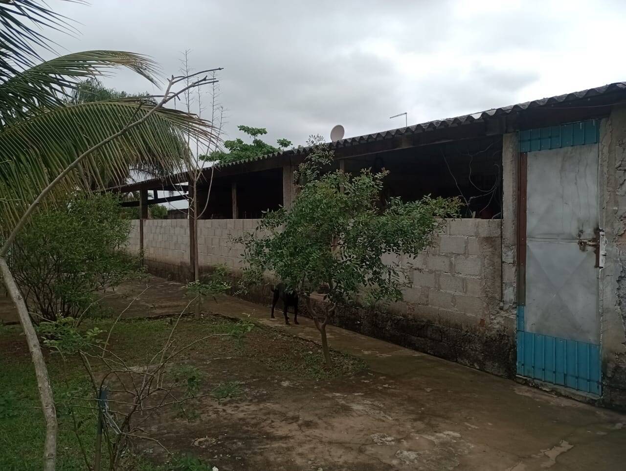 Chácara, 4 quartos, 2300 m² - Foto 14