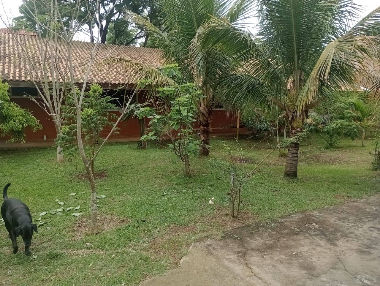 Chácara, 4 quartos, 2300 m² - Foto 13