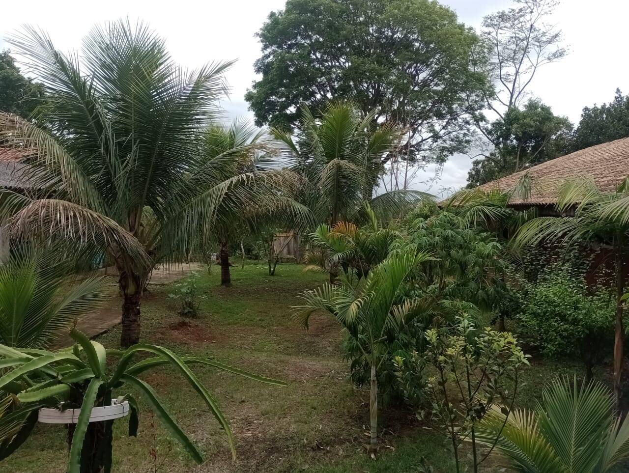 Chácara, 4 quartos, 2300 m² - Foto 15